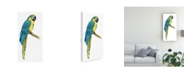 Trademark Global Grace Popp Teal Macaw I Canvas Art - 15" x 20"